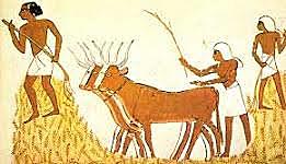 Inicio de actividad ganadera