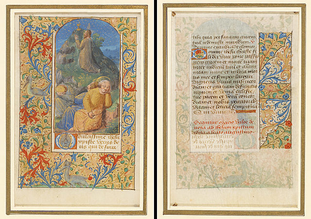 Illuminated Manuscripts