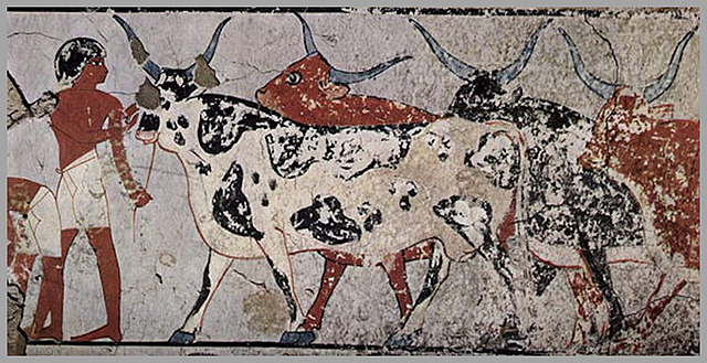 Cattle in Ancient Egyptian Civilization