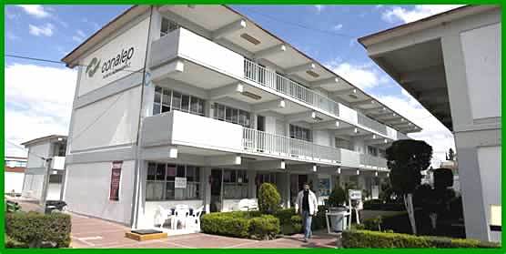 Madubani Cecilia Sabino Tapia