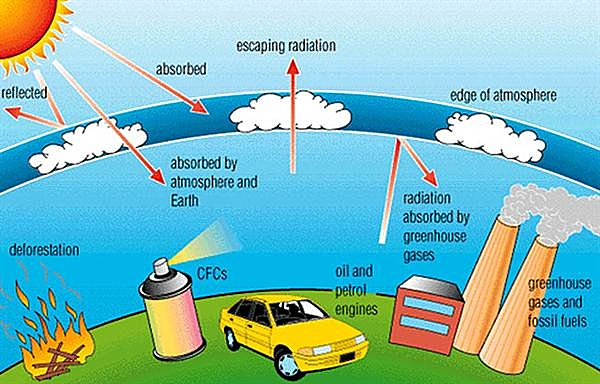 Humans and the Greenhouse Effect