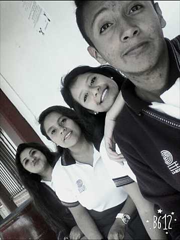 Social e Intelectual