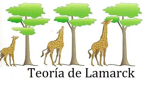 Lamarck
