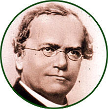 Mendel