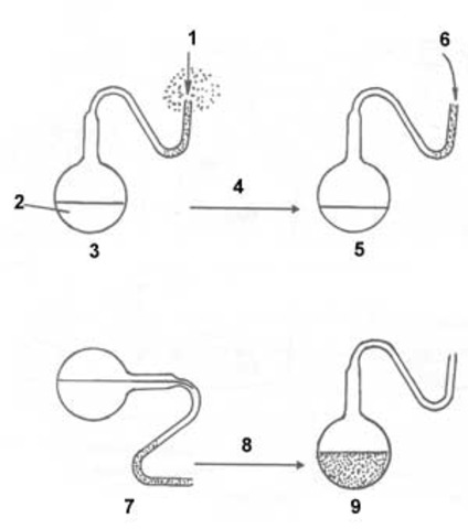 (1700-1800) Lazzaro Spallanzani