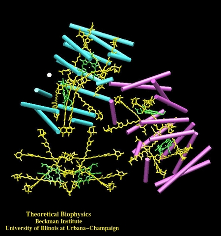 (3 BYA) Photosynthetic activities found