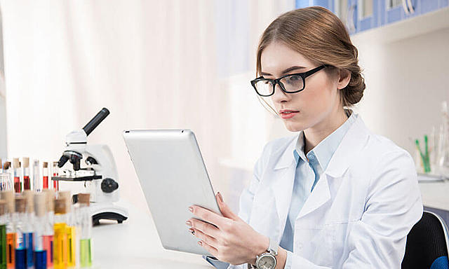 Modelo laboral y profesional