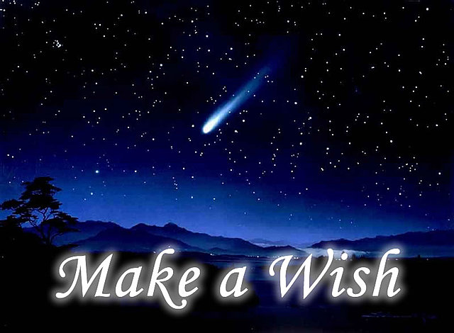 If I could make a wish come true...