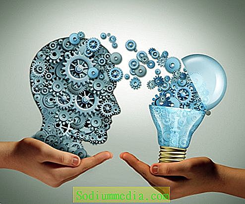 Nahalka konstruktivista tanulástípusai