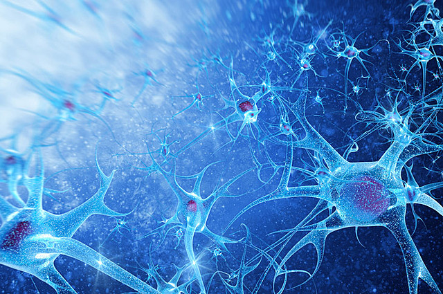 Nacimiento de la “Psicología Científica”