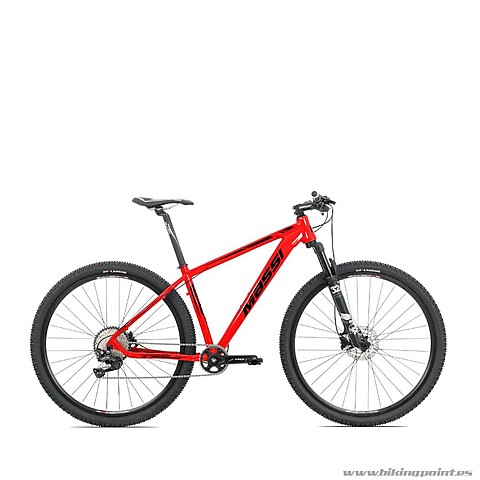 Aprenc anar en bicicleta