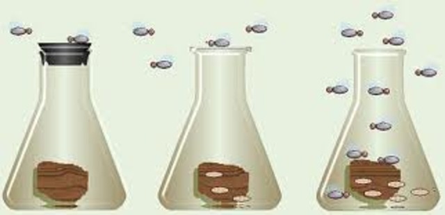 (1600-1700) Experiments