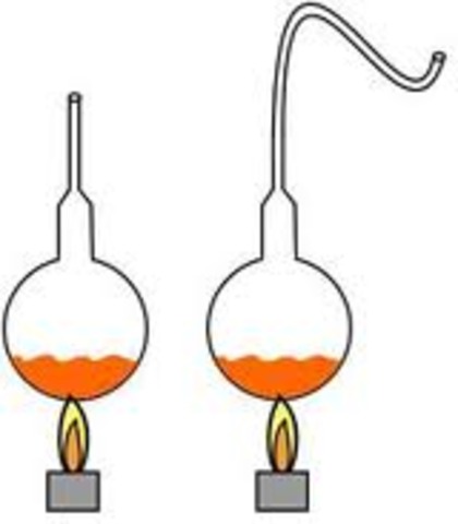 (1800 - 1900) Pasteur