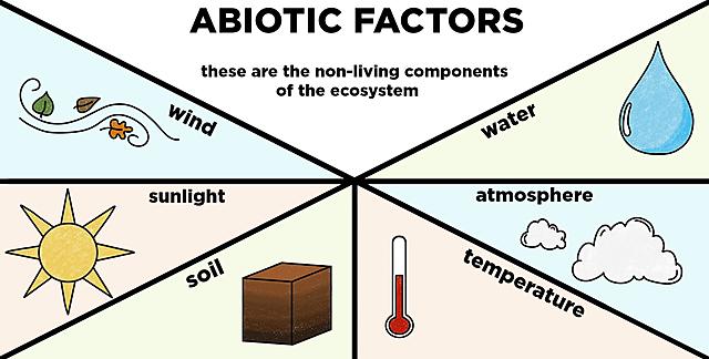 Abiotic Factors of an Ecosystem