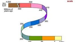 Timeline: Pd. 1, DeNunzio and Meinhardt, History of Earth Timeline