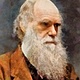 Men painting art charles darwin beard 518368 1536x2048