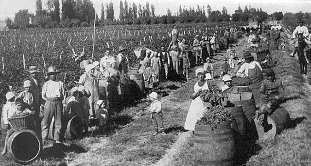 El vino en la Edad Moderna