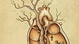 Timeline: Historia de los Derechos Humanos