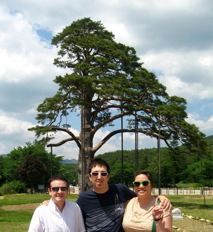 Beginning of summer & a visit to an 800 year old tree.