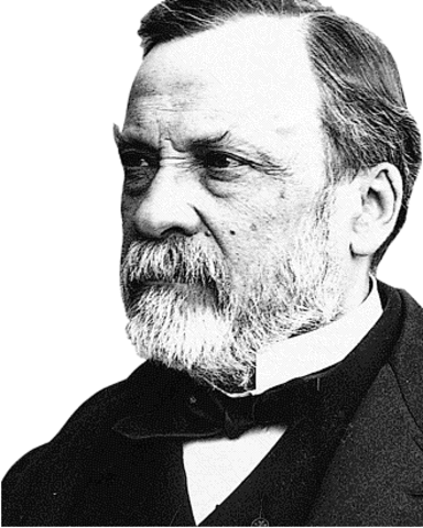 (1800-1900) Pasteur