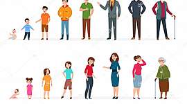 Timeline: My timeline