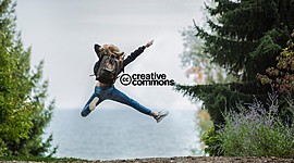 Timeline: Creative Commons | A path for richer public domain