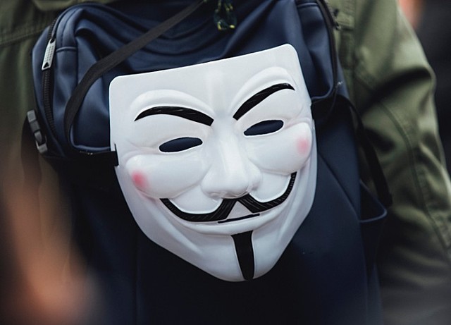 Pieces of the Puzzle