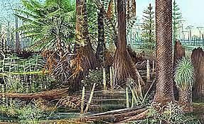 Esimesed maismaataimed