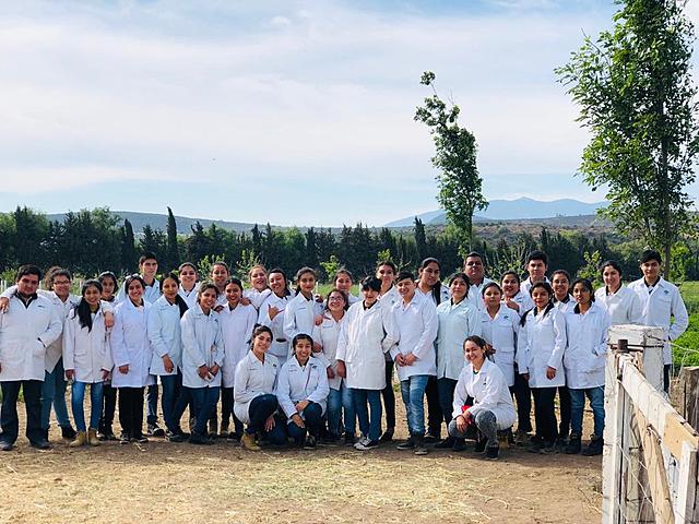 Visita empresa vinícola (intelectual y social).