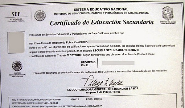 Salida de la escuela secundaria (intelectual, social y biológico).