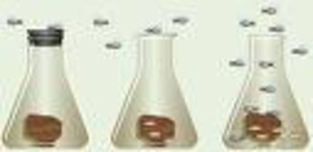 (1626-1697) Redi's Experiment