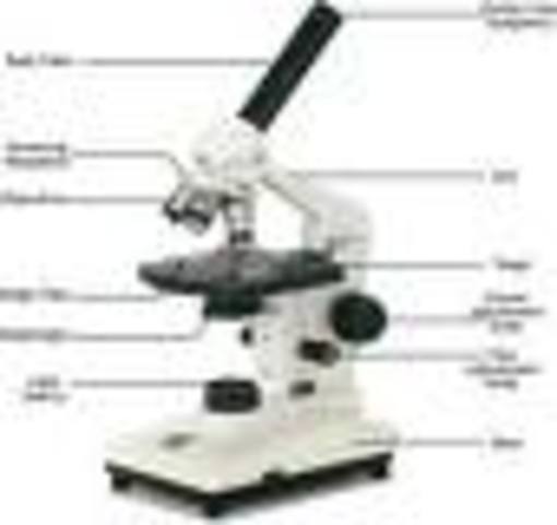 (1665) Hookes Invention of the Microscope