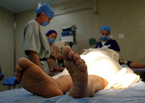 Muerte (biológico).