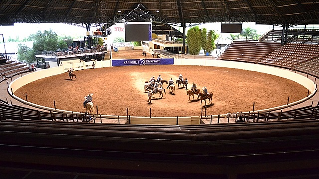 Modelo social y modelo laboral