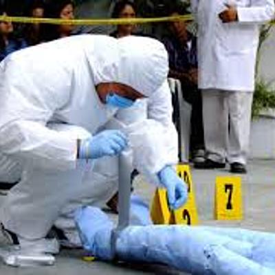 Timeline: La Victimología