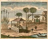 Sugar Act and Stamp Act Controversies