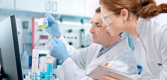 Modelo intelectual y modelo laboral