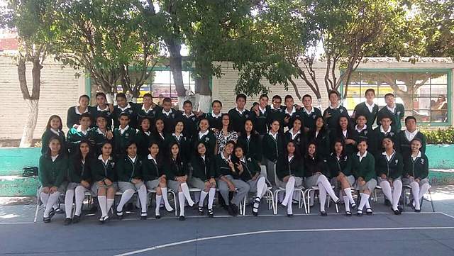 Modelo social, modelo biológico y modelo intelectual