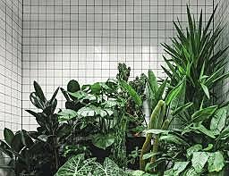 Abiotic and Biotic Factors