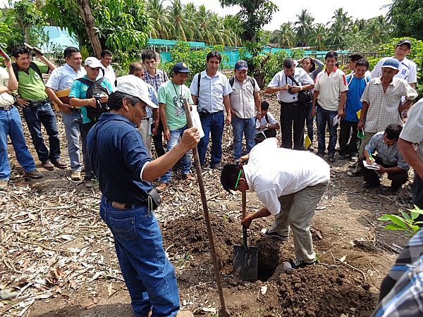 En la República (1903-1927)