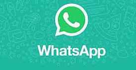 whatsaap y buscador de internet