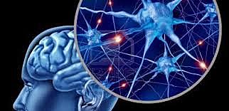 Proust y la neurociencia