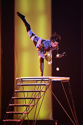 Circo Nacional de China