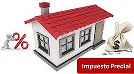 Timeline: Impuesto Predial Colombia