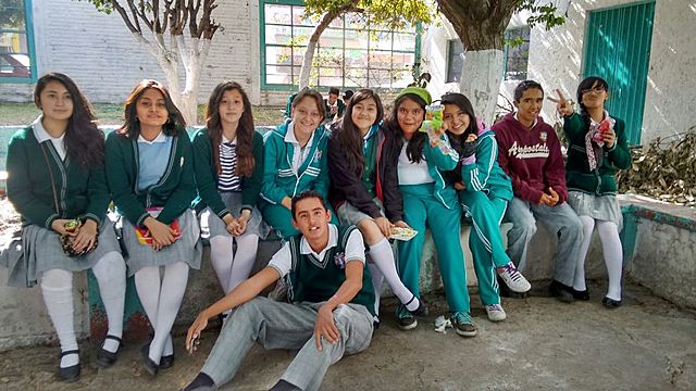 Modelo social y modelo intelectual