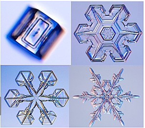 Matematicas y biologia .