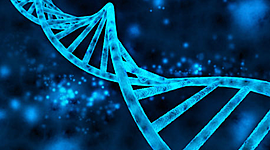 Timeline: Historia de la Genética