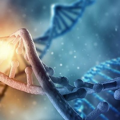 Timeline: Historia de la genética