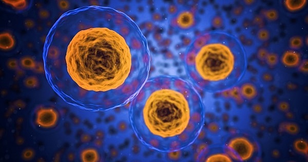 Descubrimiento de la célula