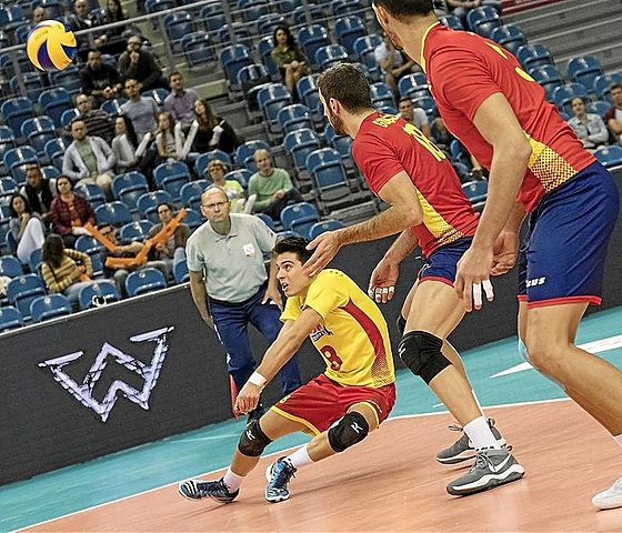 Se introduce el libero